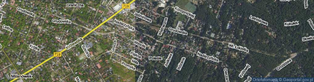 Zdjęcie satelitarne Wiatraczna ul.