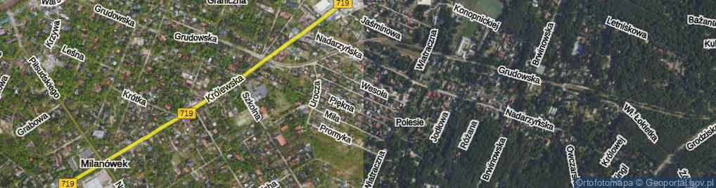 Zdjęcie satelitarne Wiśniowa ul.