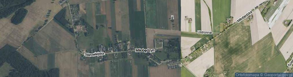 Zdjęcie satelitarne Wierzbowa ul.