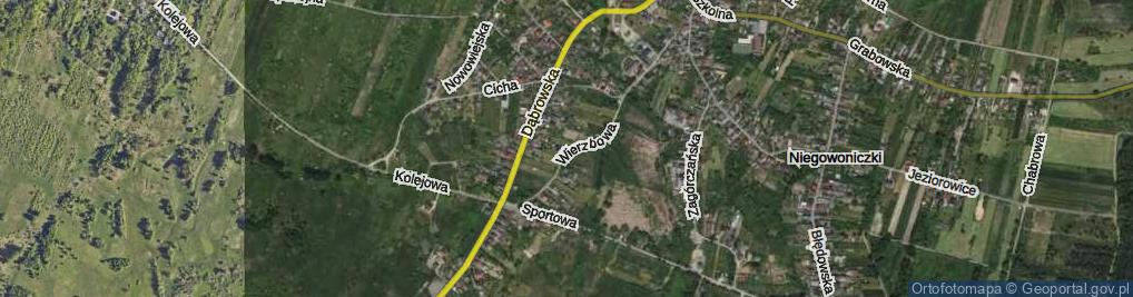 Zdjęcie satelitarne Wierzbowa ul.