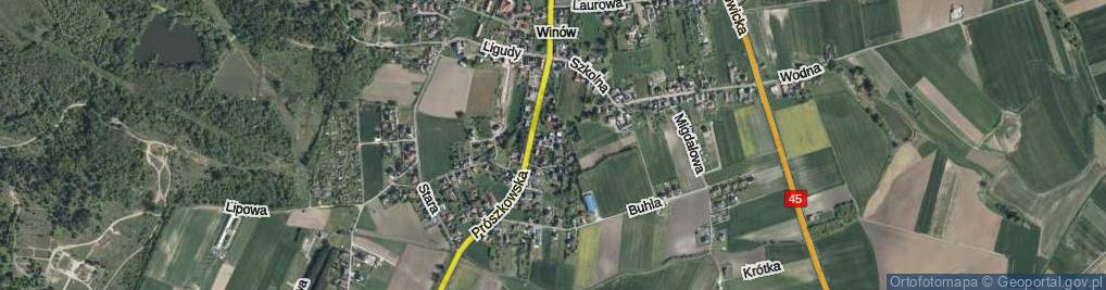 Zdjęcie satelitarne Winogronowa ul.