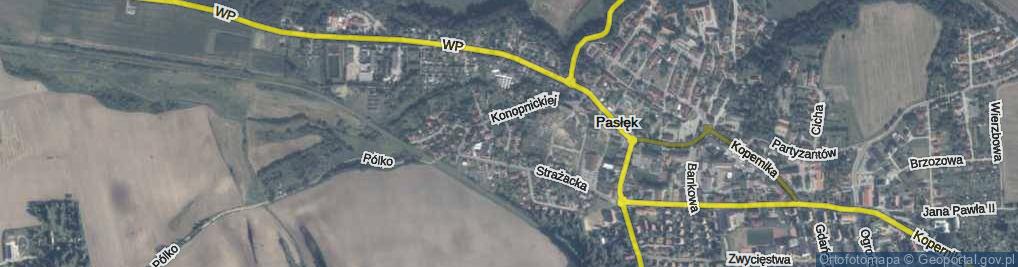 Zdjęcie satelitarne Witosa Wincentego ul.