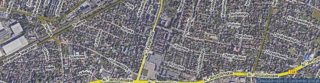 Zdjęcie satelitarne Wierzbowa ul.