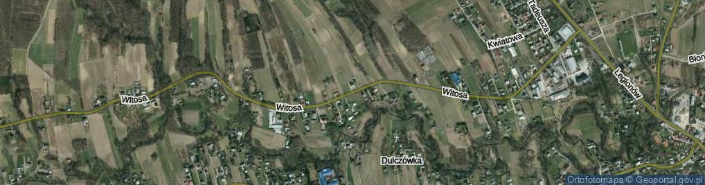 Zdjęcie satelitarne Witosa Wincentego ul.