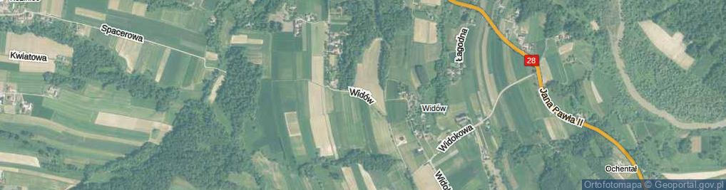 Zdjęcie satelitarne Widów ul.