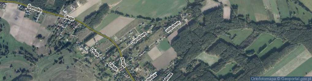 Zdjęcie satelitarne Wiśniowa ul.