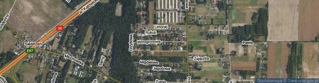 Zdjęcie satelitarne Winogronowa ul.