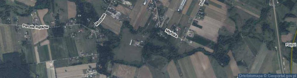 Zdjęcie satelitarne Wierzbowa ul.