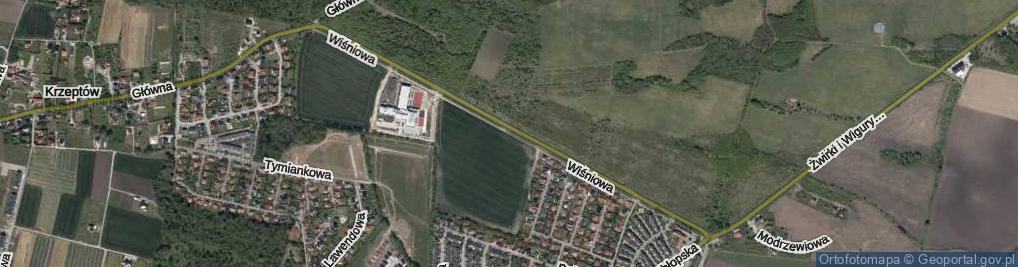 Zdjęcie satelitarne Wiśniowa ul.