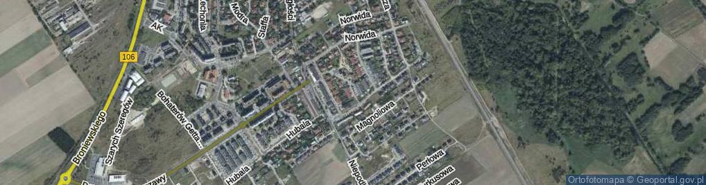 Zdjęcie satelitarne Witkiewicza Stanisława Ignacego ul.