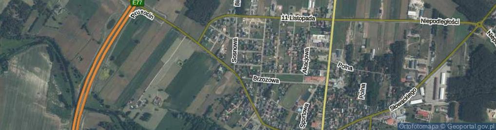 Zdjęcie satelitarne Wierzbowa ul.