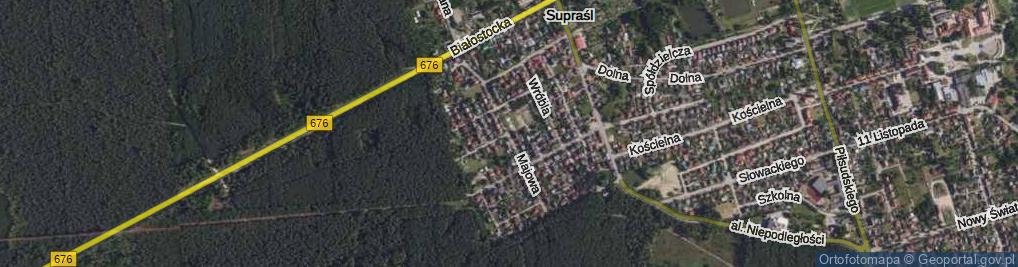 Zdjęcie satelitarne Wiewiórcza ul.