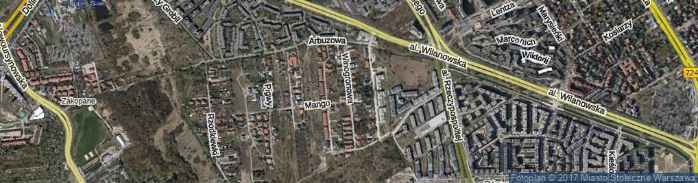 Zdjęcie satelitarne Winogronowa ul.