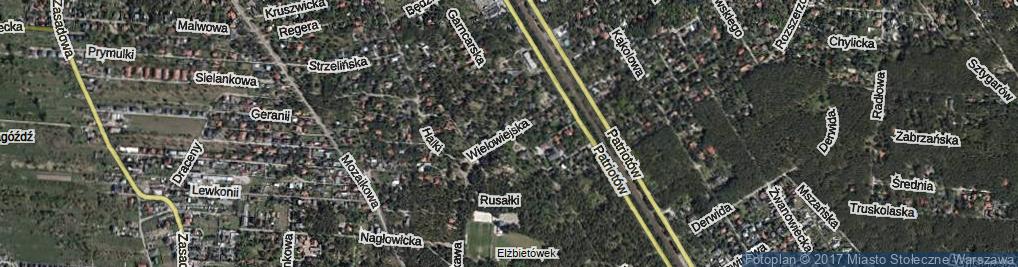 Zdjęcie satelitarne Wielowiejska ul.