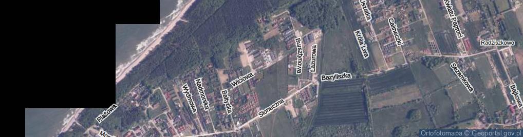 Zdjęcie satelitarne Wiciowa ul.