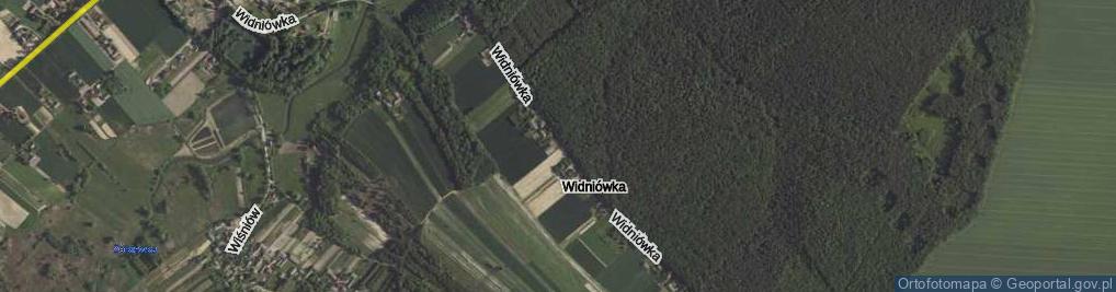 Zdjęcie satelitarne Widniówka ul.