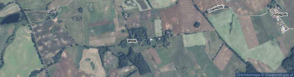 Zdjęcie satelitarne Wiele ul.