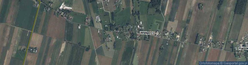 Zdjęcie satelitarne Wielgorz ul.