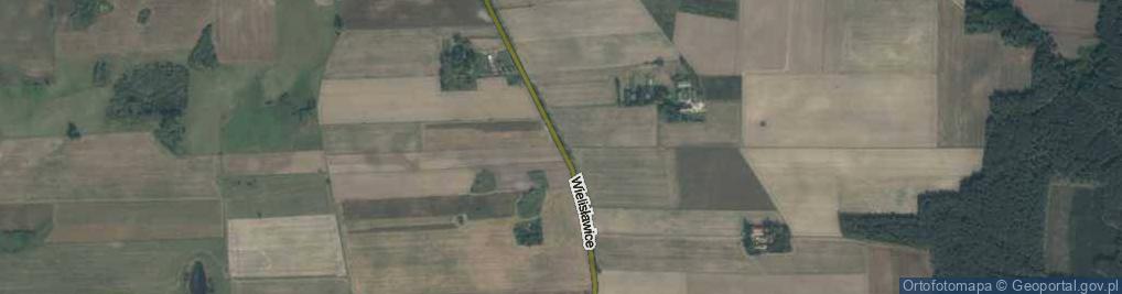 Zdjęcie satelitarne Wielisławice ul.