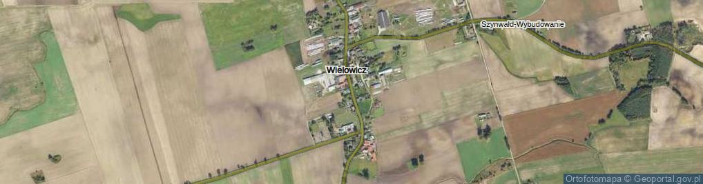 Zdjęcie satelitarne Wielowicz ul.