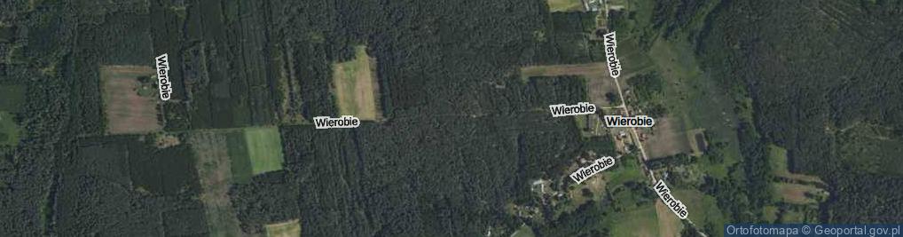 Zdjęcie satelitarne Wierobie ul.