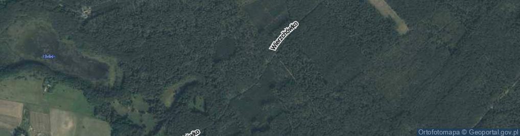 Zdjęcie satelitarne Wierzchówko ul.