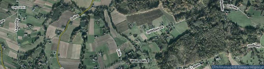Zdjęcie satelitarne Wilcza ul.