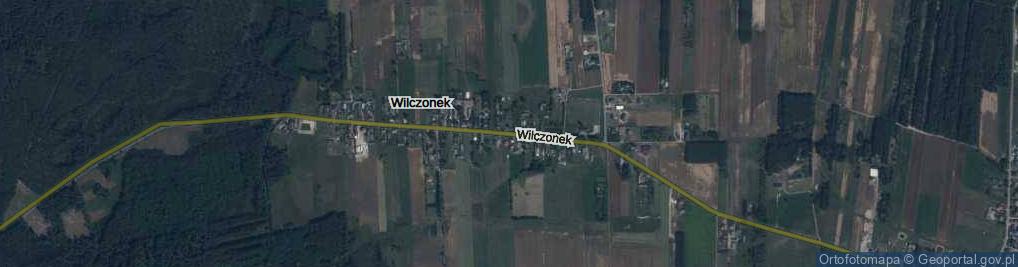 Zdjęcie satelitarne Wilczonek ul.