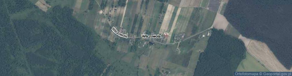 Zdjęcie satelitarne Wilczowola ul.