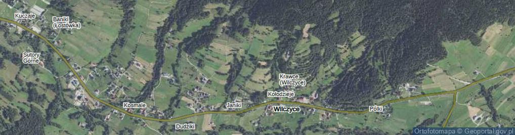 Zdjęcie satelitarne Wilczyce ul.