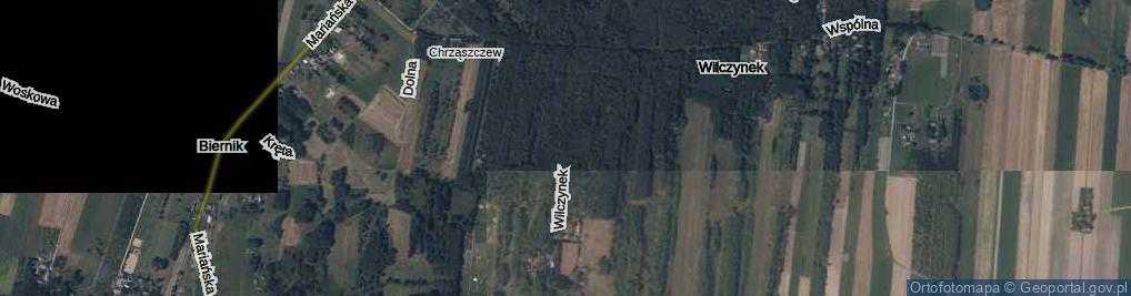 Zdjęcie satelitarne Wilczynek ul.