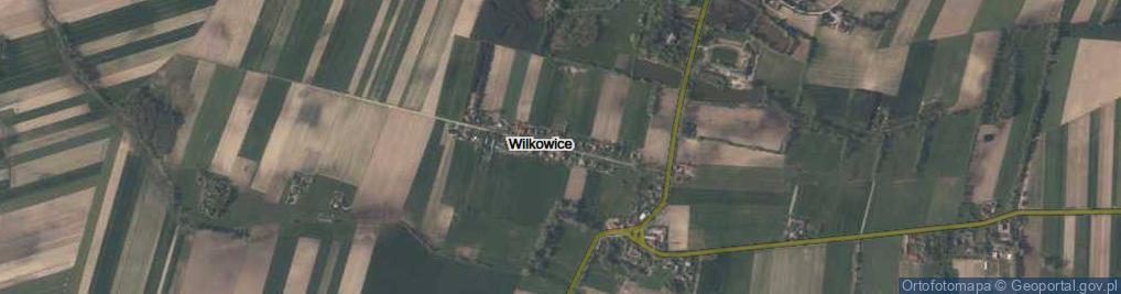Zdjęcie satelitarne Wilkowice ul.