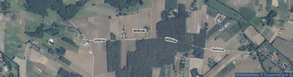 Zdjęcie satelitarne Wilków ul.