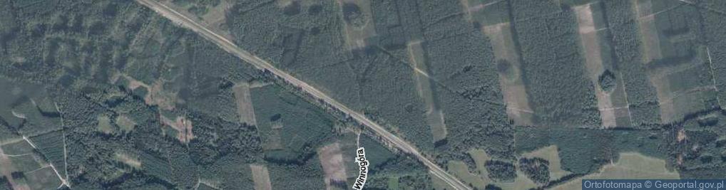 Zdjęcie satelitarne Winnogóra ul.