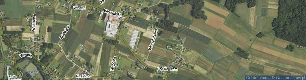 Zdjęcie satelitarne Winogronowa ul.