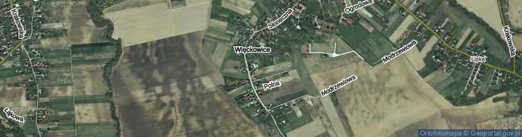 Zdjęcie satelitarne Wiśniowa ul.