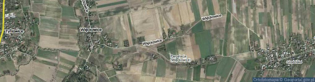 Zdjęcie satelitarne Więckowice ul.