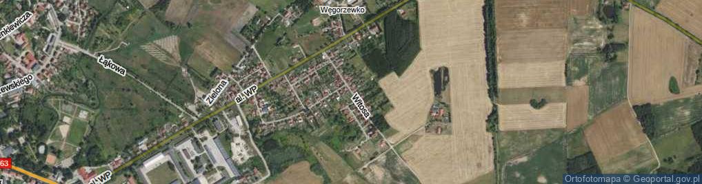 Zdjęcie satelitarne Witosa Wincentego ul.