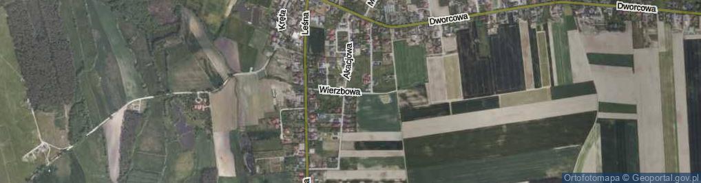Zdjęcie satelitarne Wierzbowa ul.