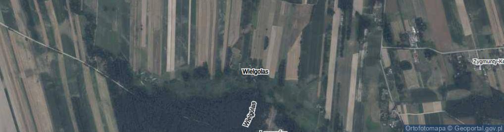 Zdjęcie satelitarne Wielgolas ul.
