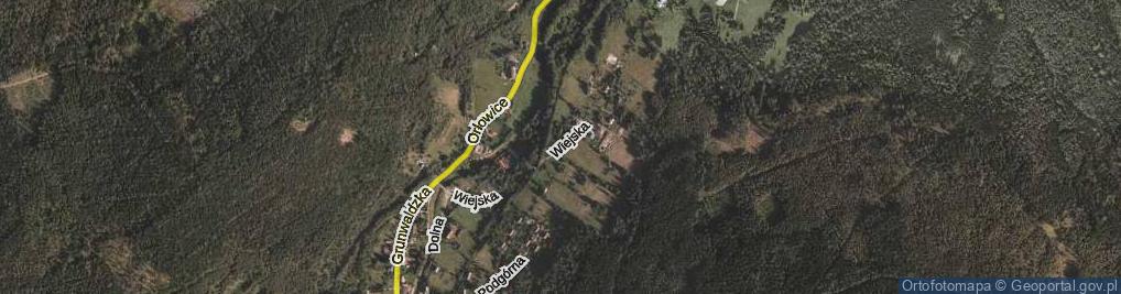 Zdjęcie satelitarne Wiejska ul.