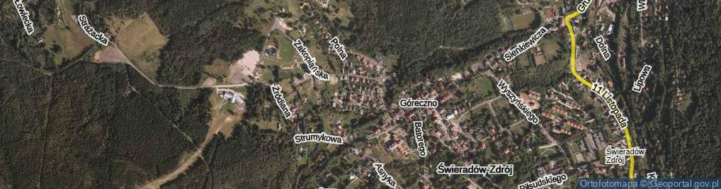 Zdjęcie satelitarne Willowa ul.