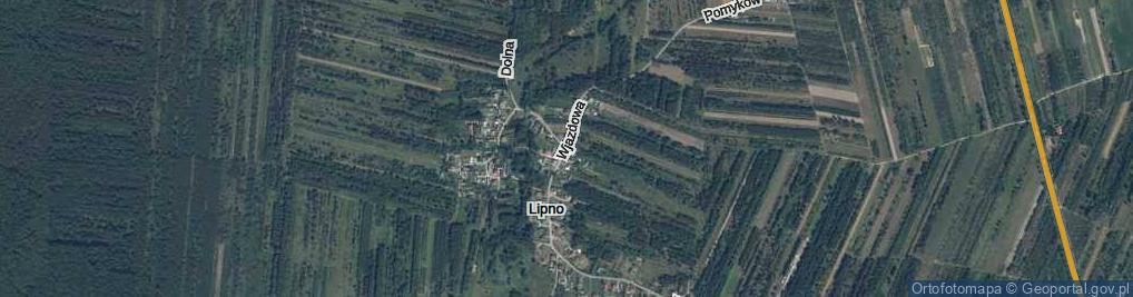 Zdjęcie satelitarne Wjazdowa ul.