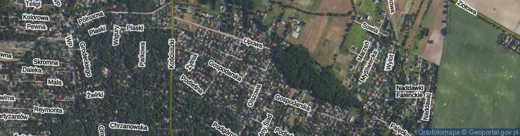 Zdjęcie satelitarne Wlot ul.