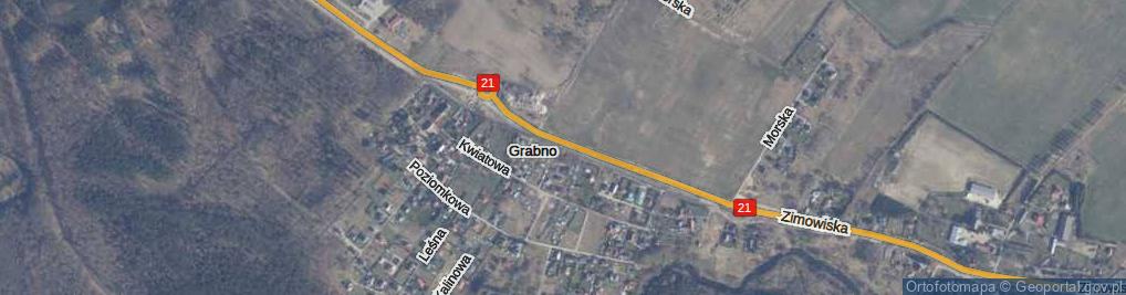 Zdjęcie satelitarne Wojewódzka ul.