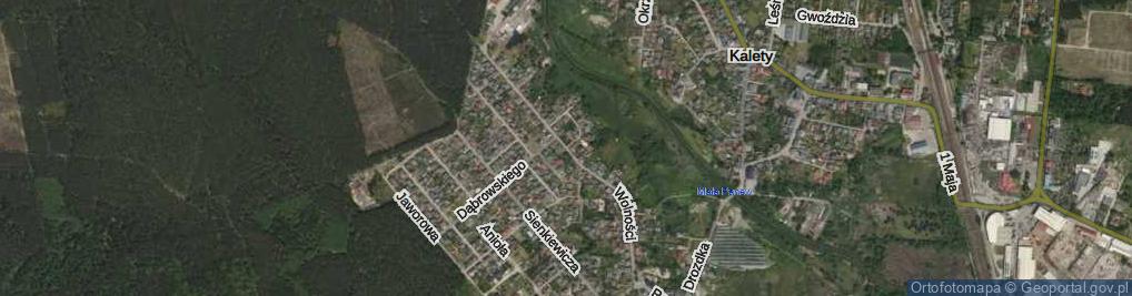 Zdjęcie satelitarne Wolności ul.