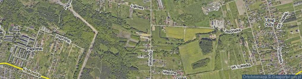 Zdjęcie satelitarne Wolności ul.