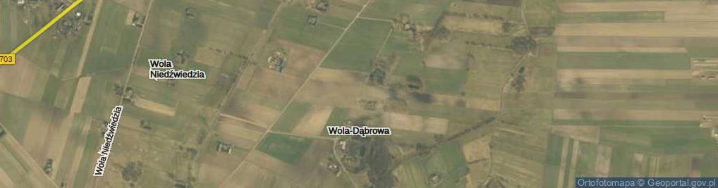 Zdjęcie satelitarne Wola-Dąbrowa ul.