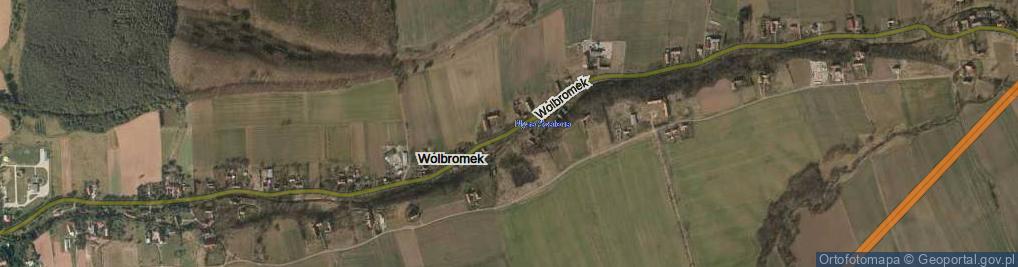 Zdjęcie satelitarne Wolbromek ul.