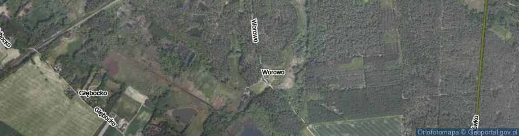 Zdjęcie satelitarne Worowo ul.